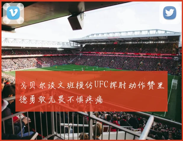 戈贝尔谈文班模仿UFC挥肘动作赞里德勇敢无畏不惧疼痛